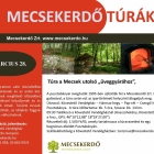 Túra a Mecsek utolsó „üveggyárához”, Pusztabányára 